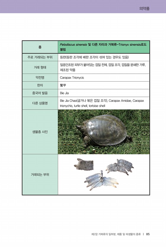 85페이지