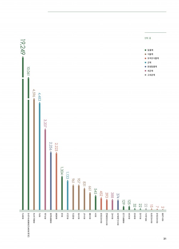 31페이지