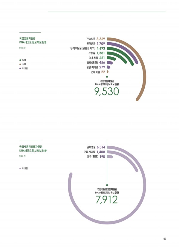 57페이지