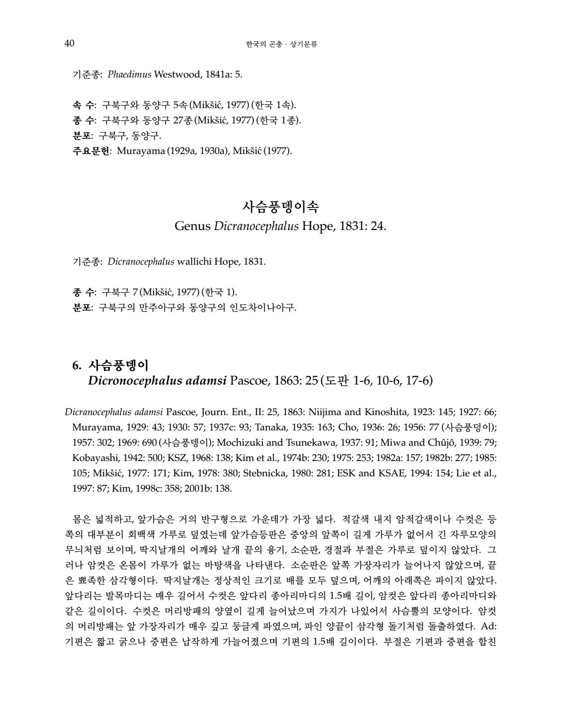 페이지