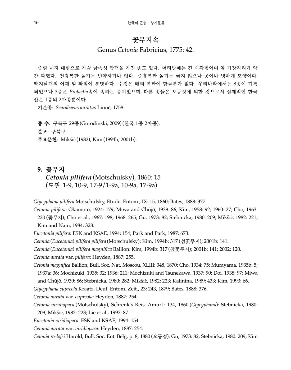 페이지