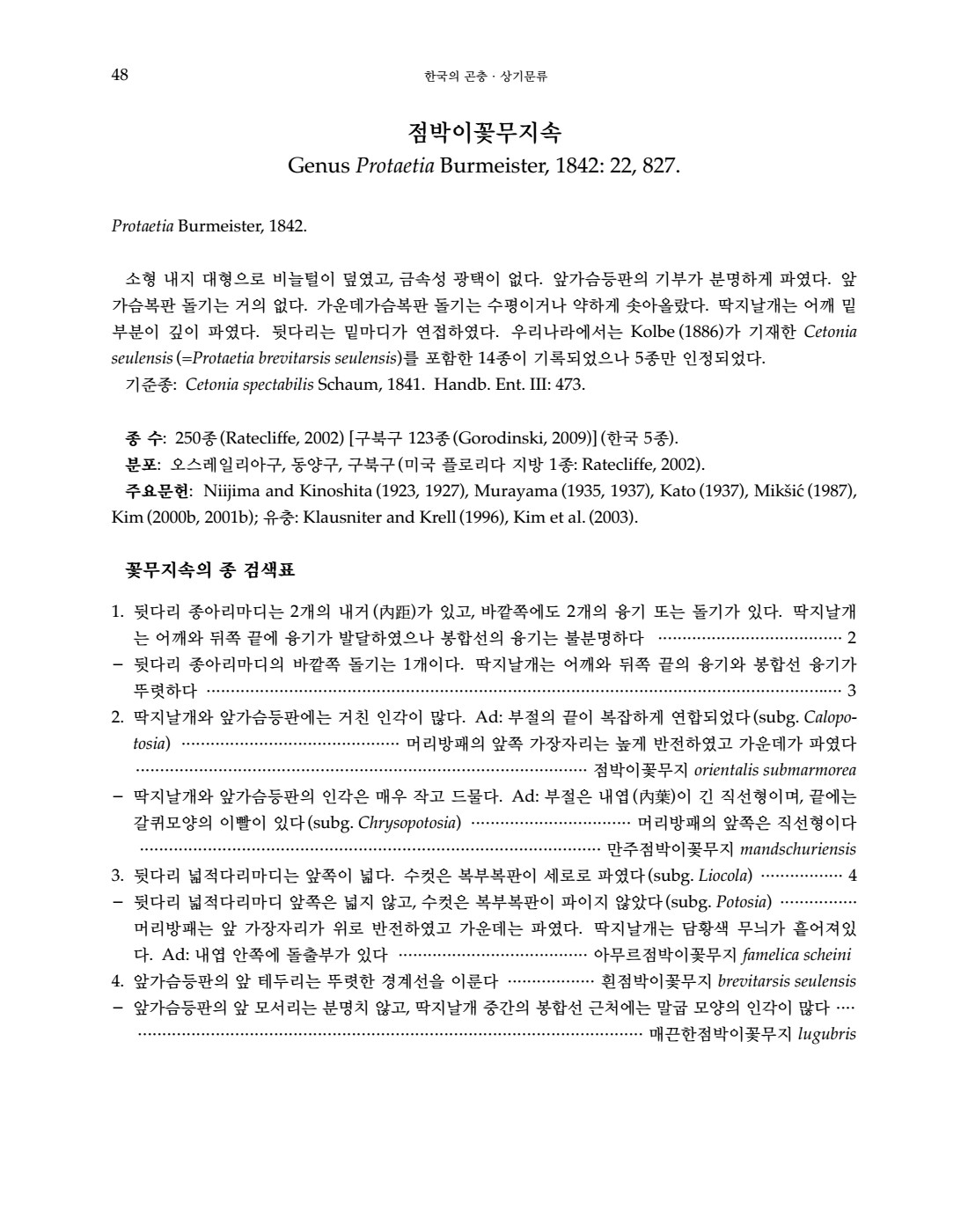 페이지