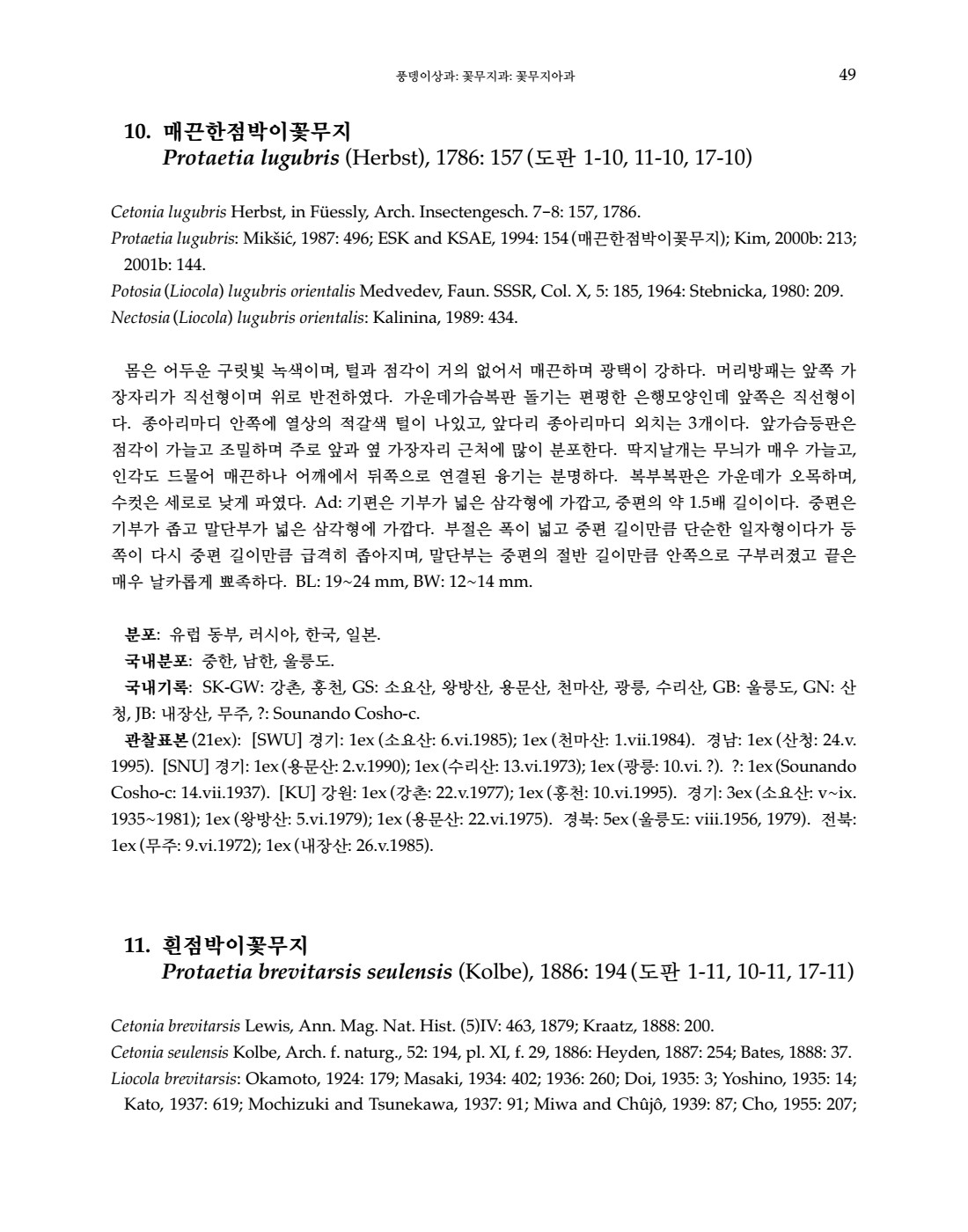 페이지
