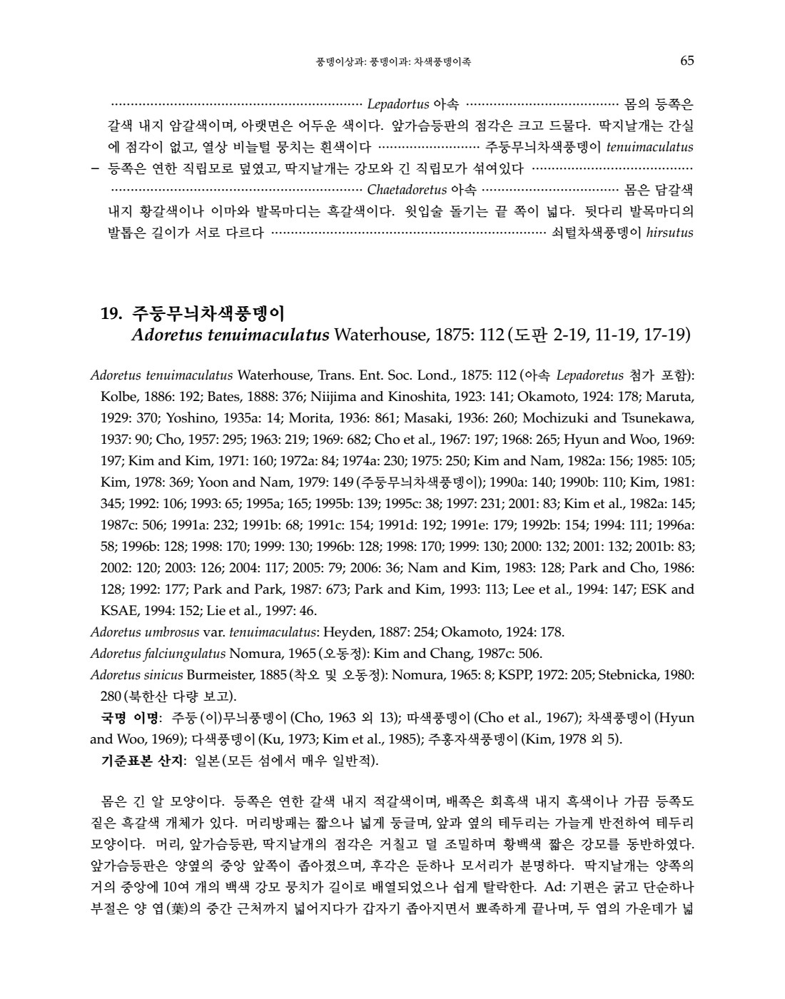 페이지