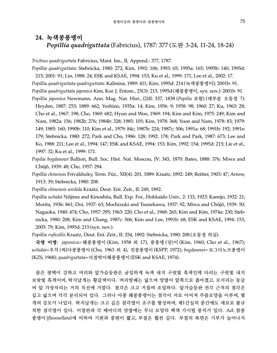 페이지