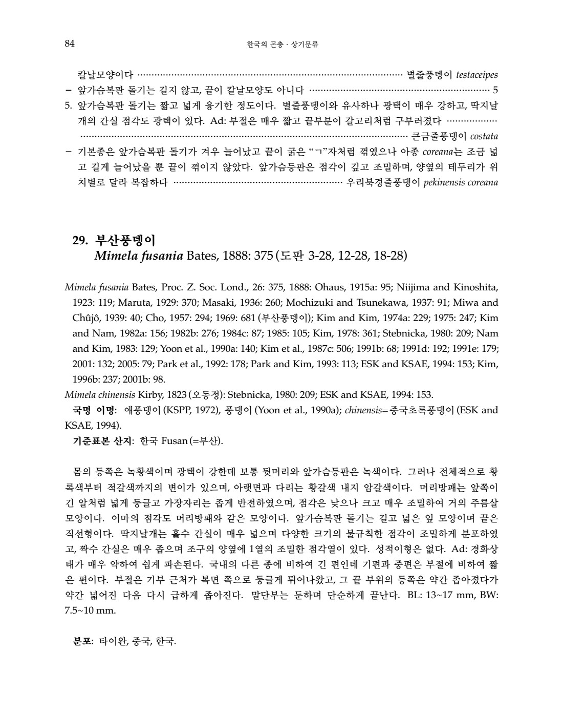 페이지