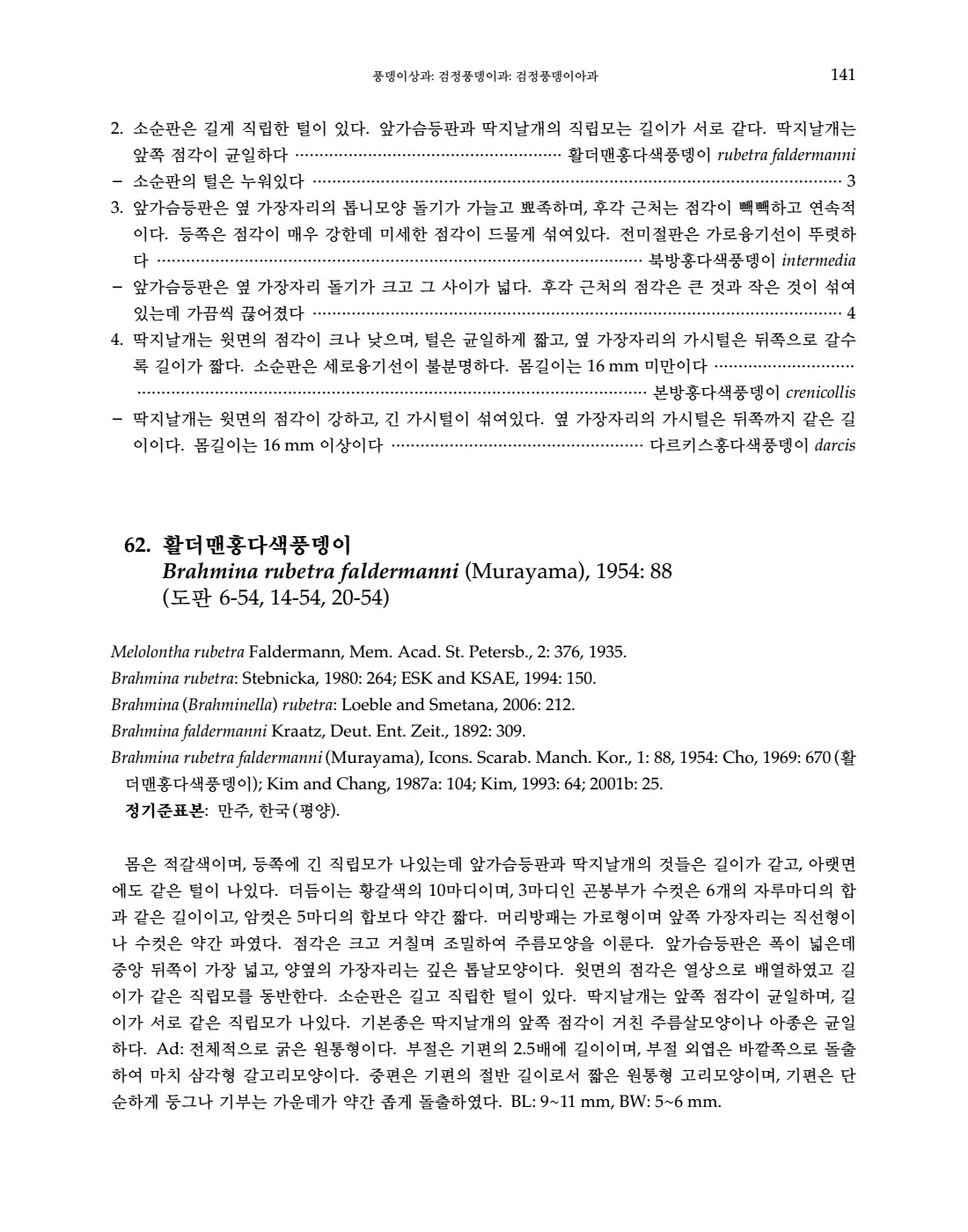 페이지