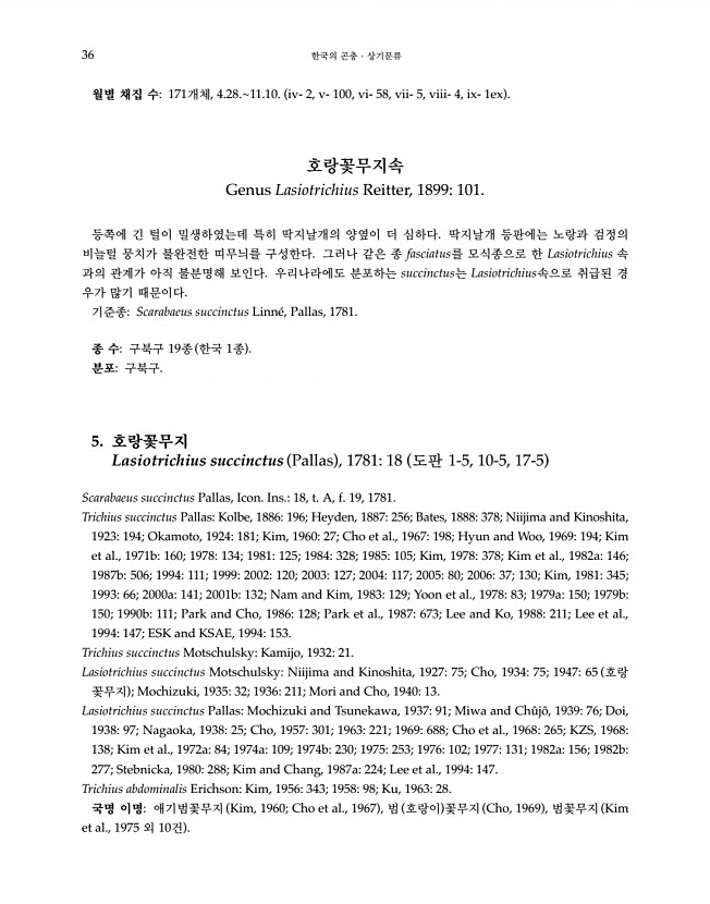 36페이지