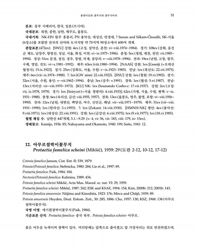 51페이지