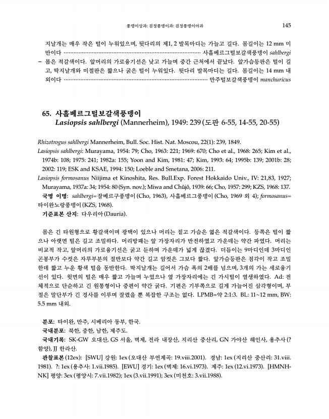 145페이지