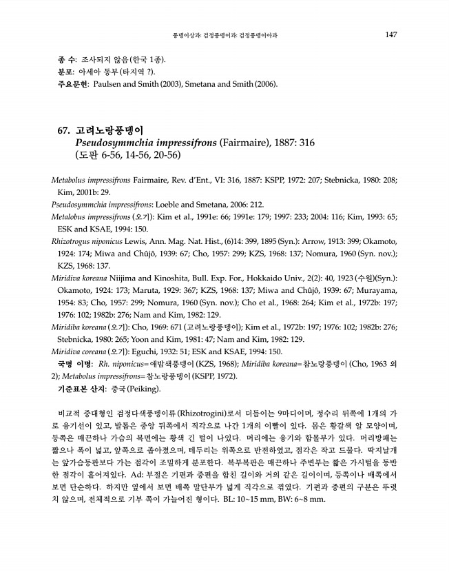 147페이지