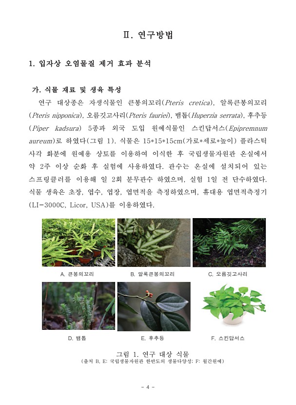 4페이지