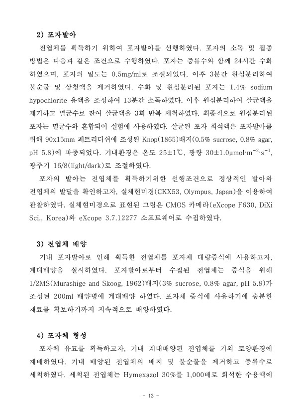 13페이지
