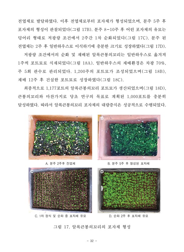 32페이지