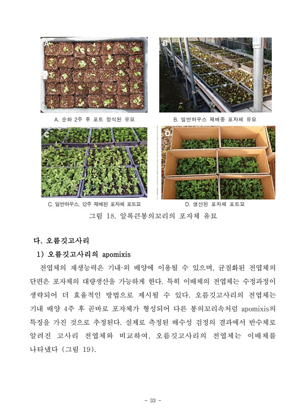 33페이지