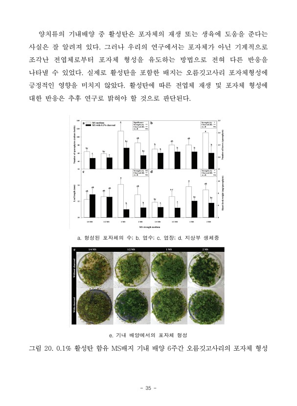 35페이지