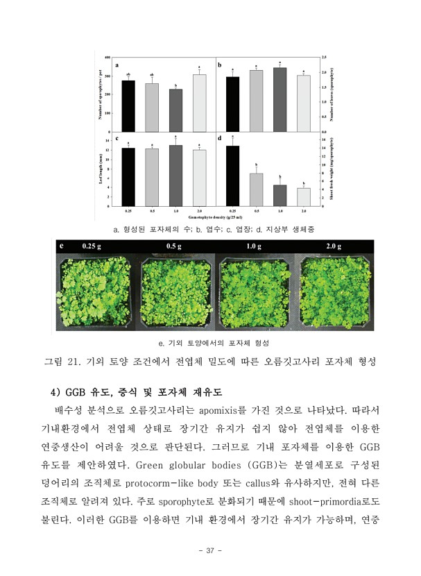 37페이지