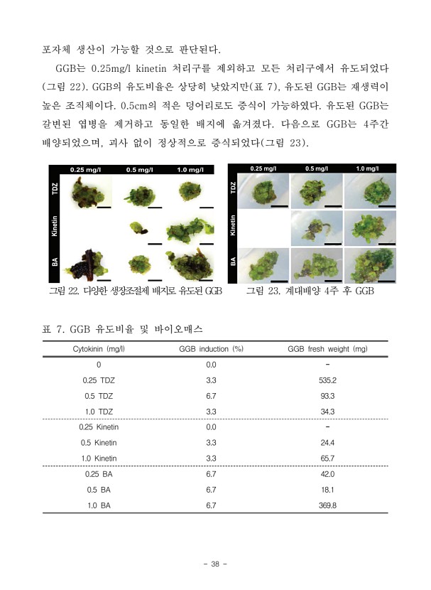 38페이지