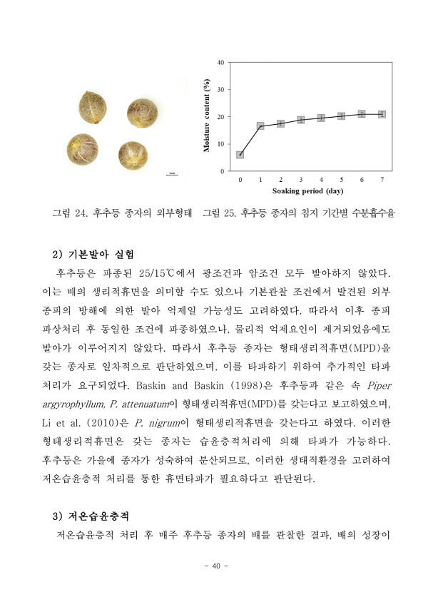 40페이지