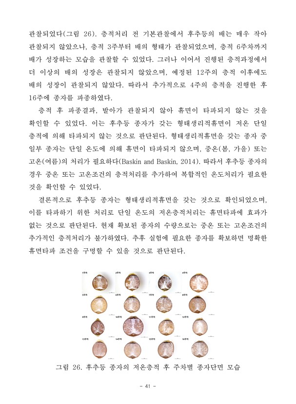 41페이지