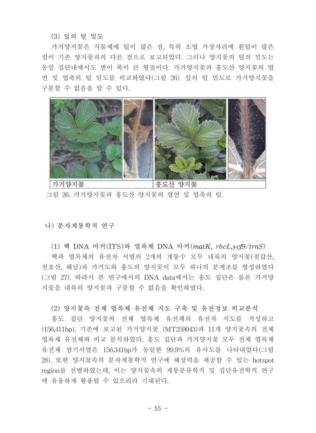 페이지