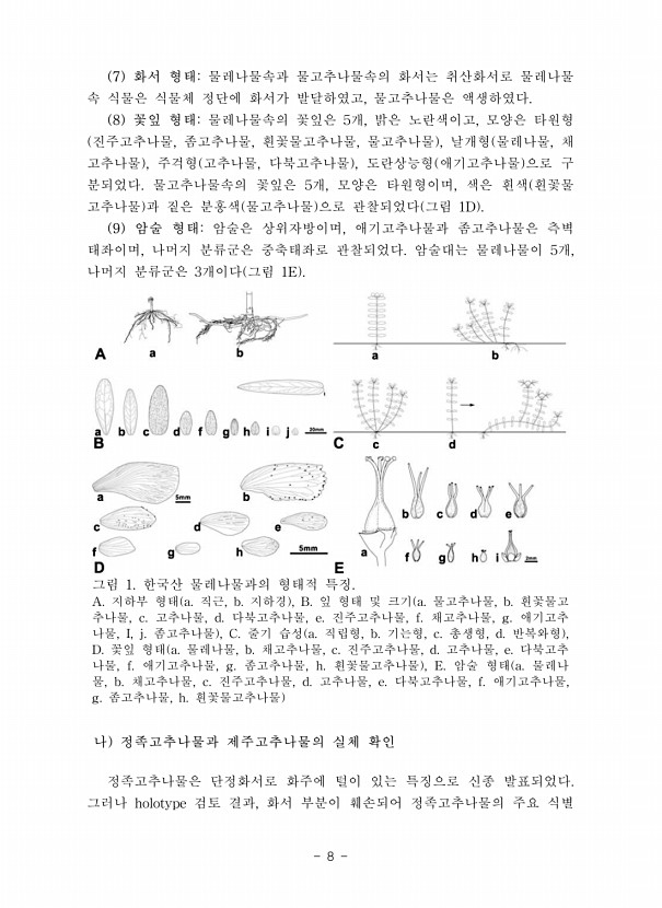 8페이지