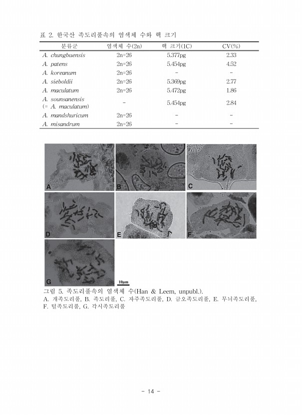 14페이지