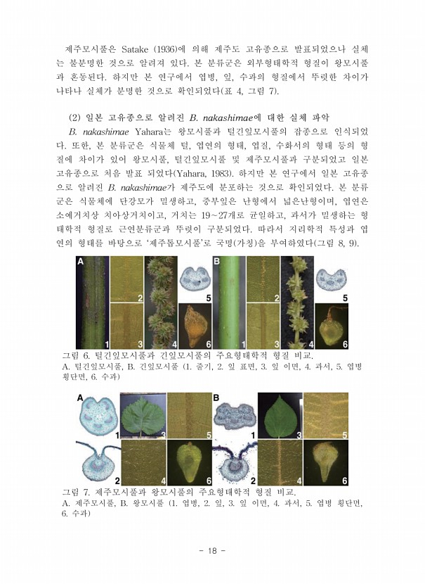 18페이지