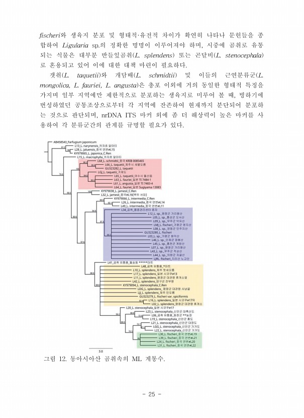 25페이지