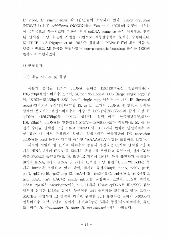 31페이지