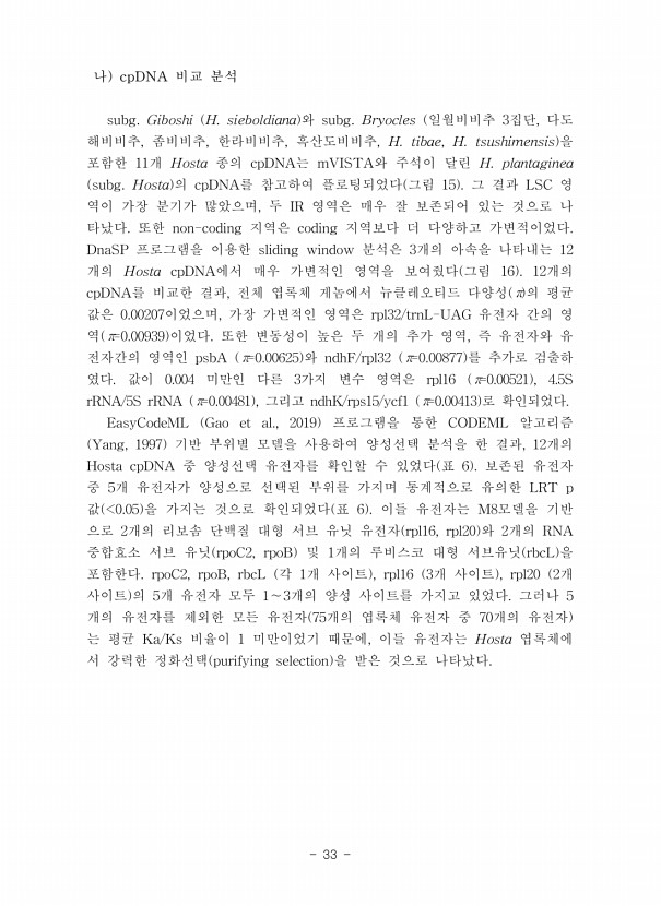 33페이지