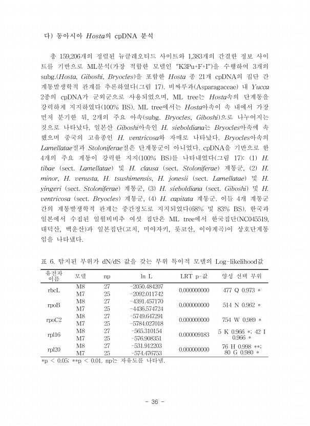 36페이지