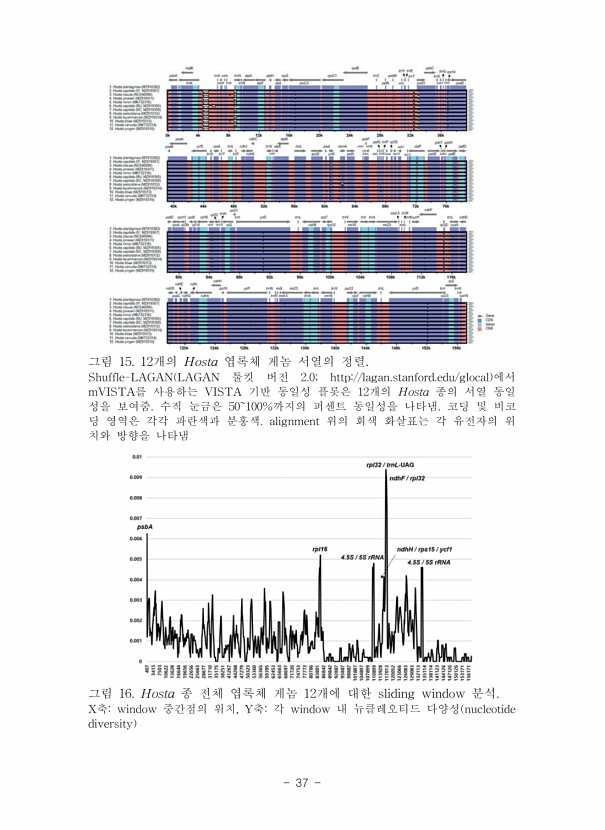 37페이지