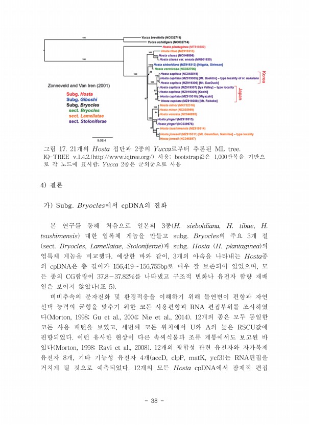 38페이지