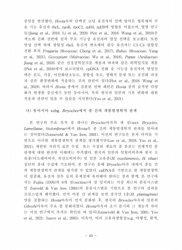 40페이지