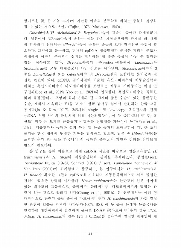 41페이지