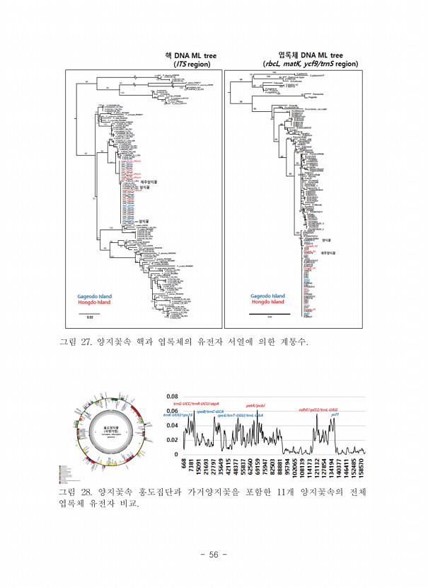 56페이지