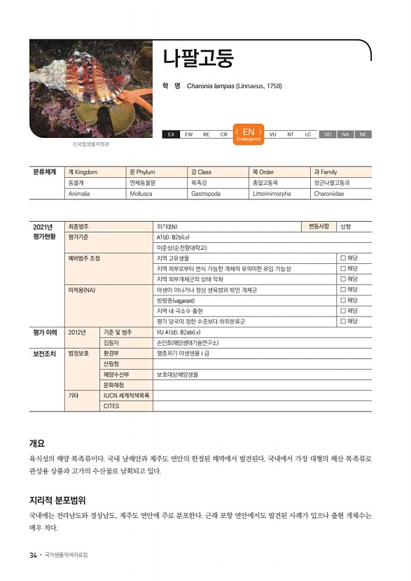 31페이지
