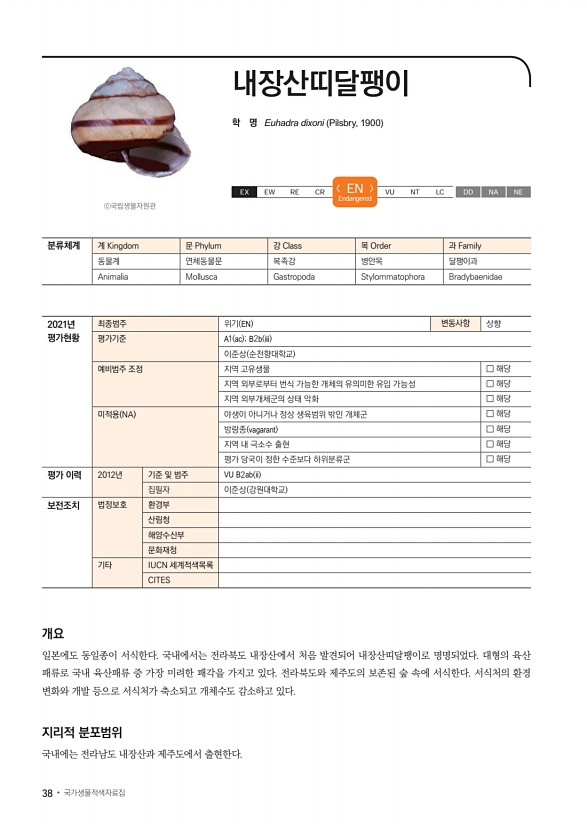 35페이지