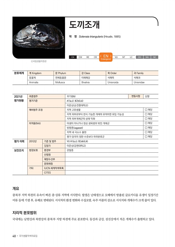 37페이지