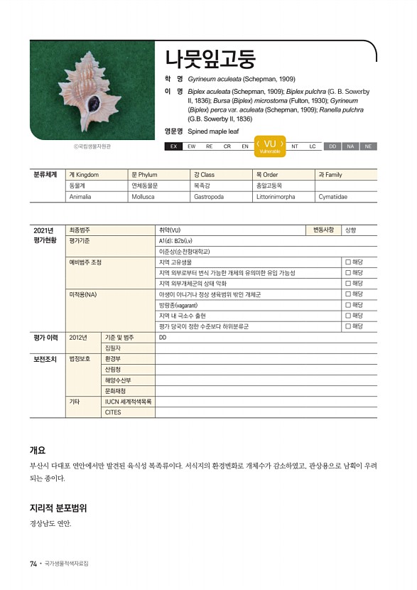 72페이지