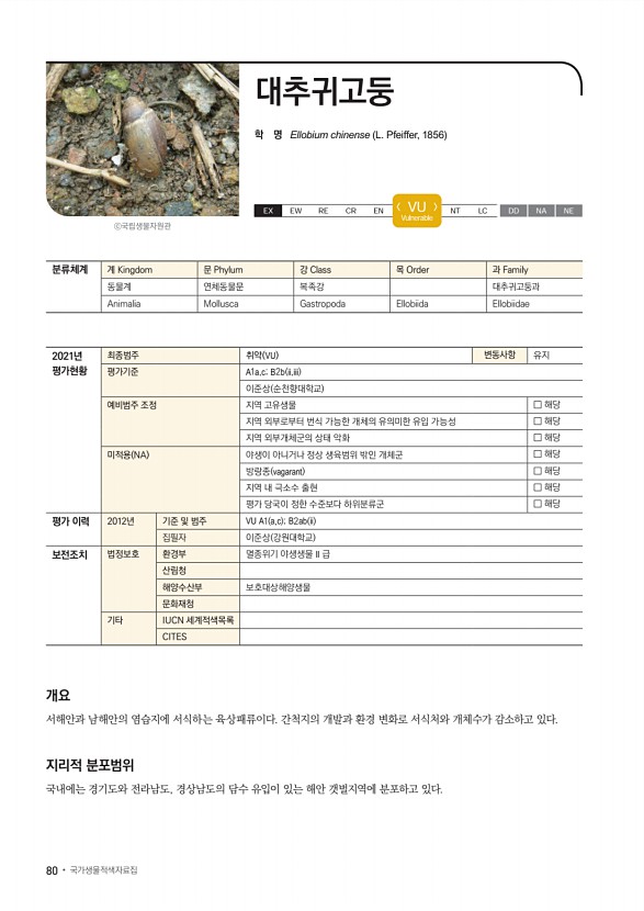 78페이지