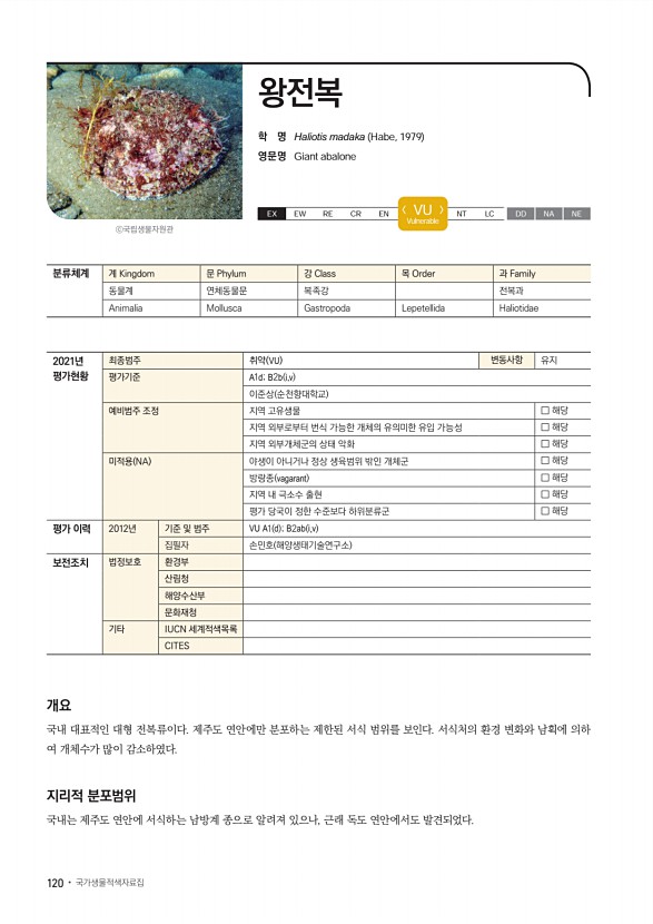 114페이지
