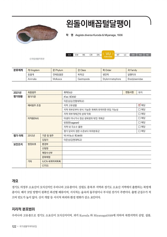 116페이지