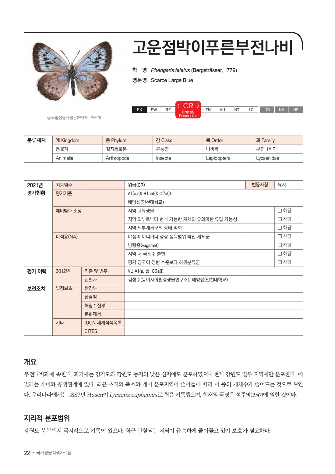 페이지