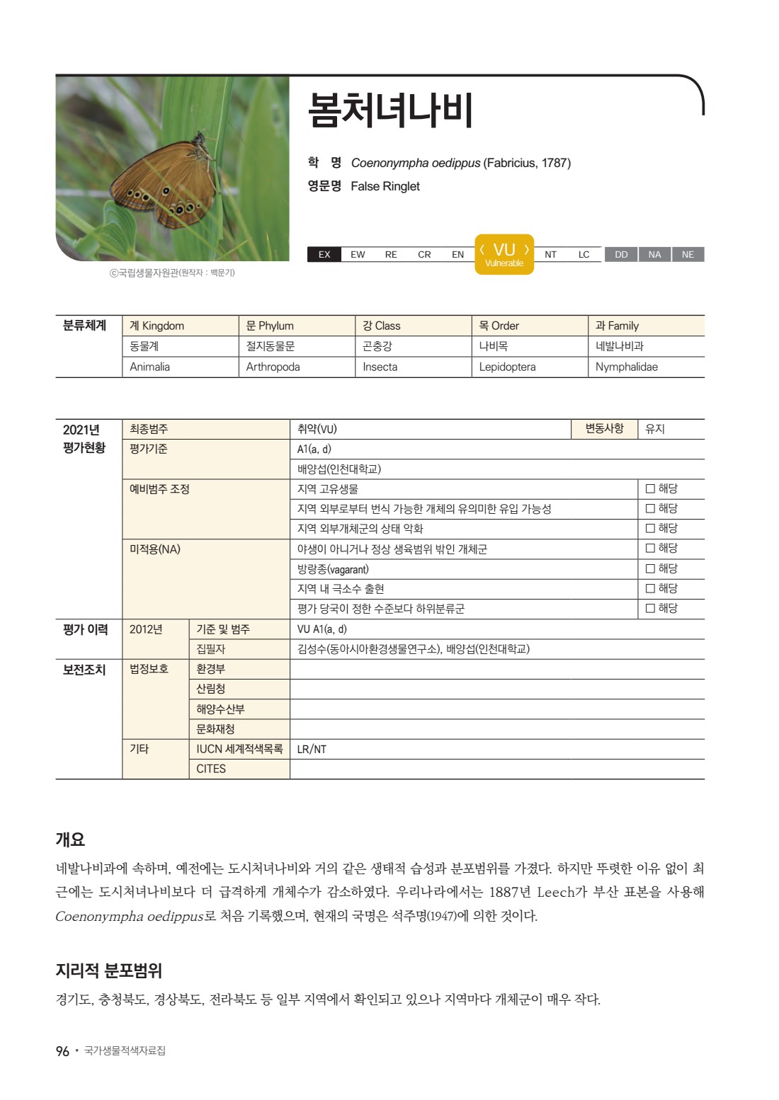 페이지