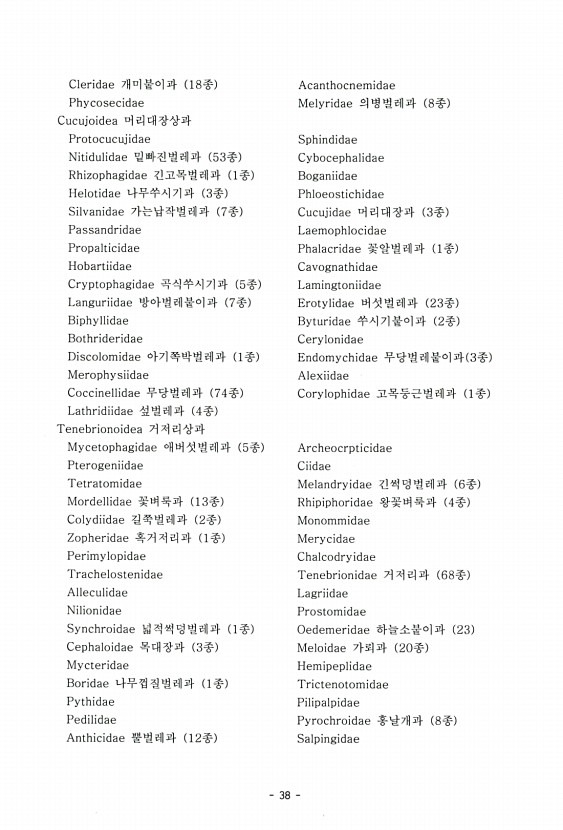 38페이지