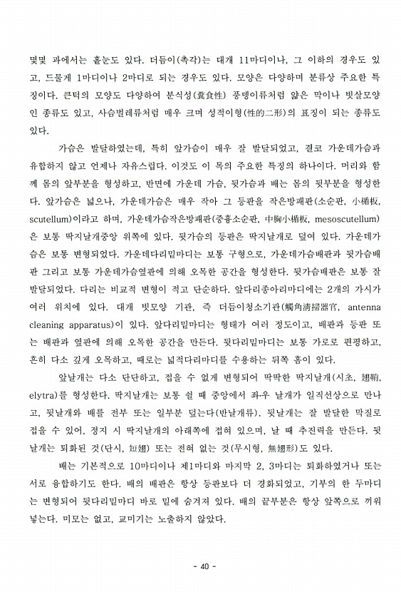 40페이지