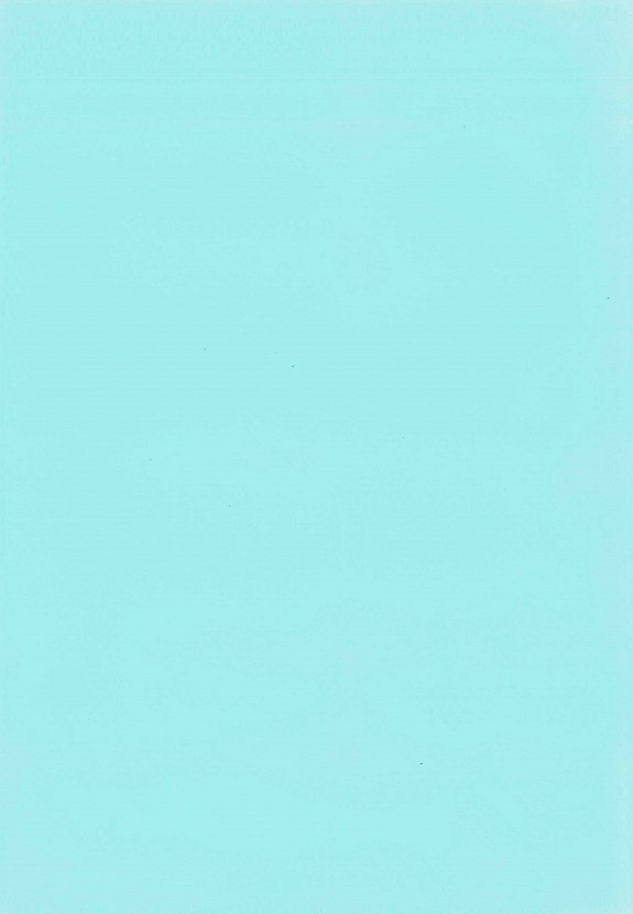 2페이지
