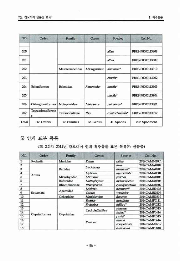 60페이지